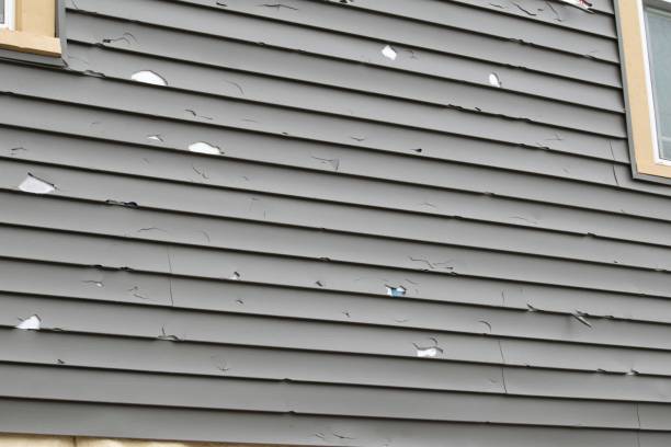 Best Storm Damage Siding Repair  in Wyldwood, TX